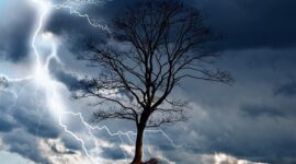 Ilustrasi Cuaca Hujan. (Pixabay.com/PublicDomainPictures)

