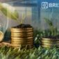 PT BRI Manajemen Investasi (BRI-MI) berhasil mencatatkan pencapaian dan pertumbuhan impresif di sepanjang tahun 2023. (Dok. BRI)
